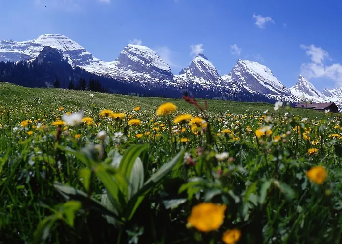 Berggasthaus Oberdorf אורחן וילדהאוס